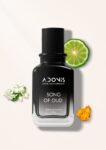 SONG OF OUD